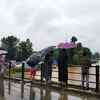 Article image for: Heavy downpour triggers flood in Kashmir Valley