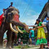 Article image for: Lakhs of devotees attend Rath Yatra of Lord Jagannath