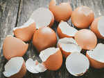 Eggshells