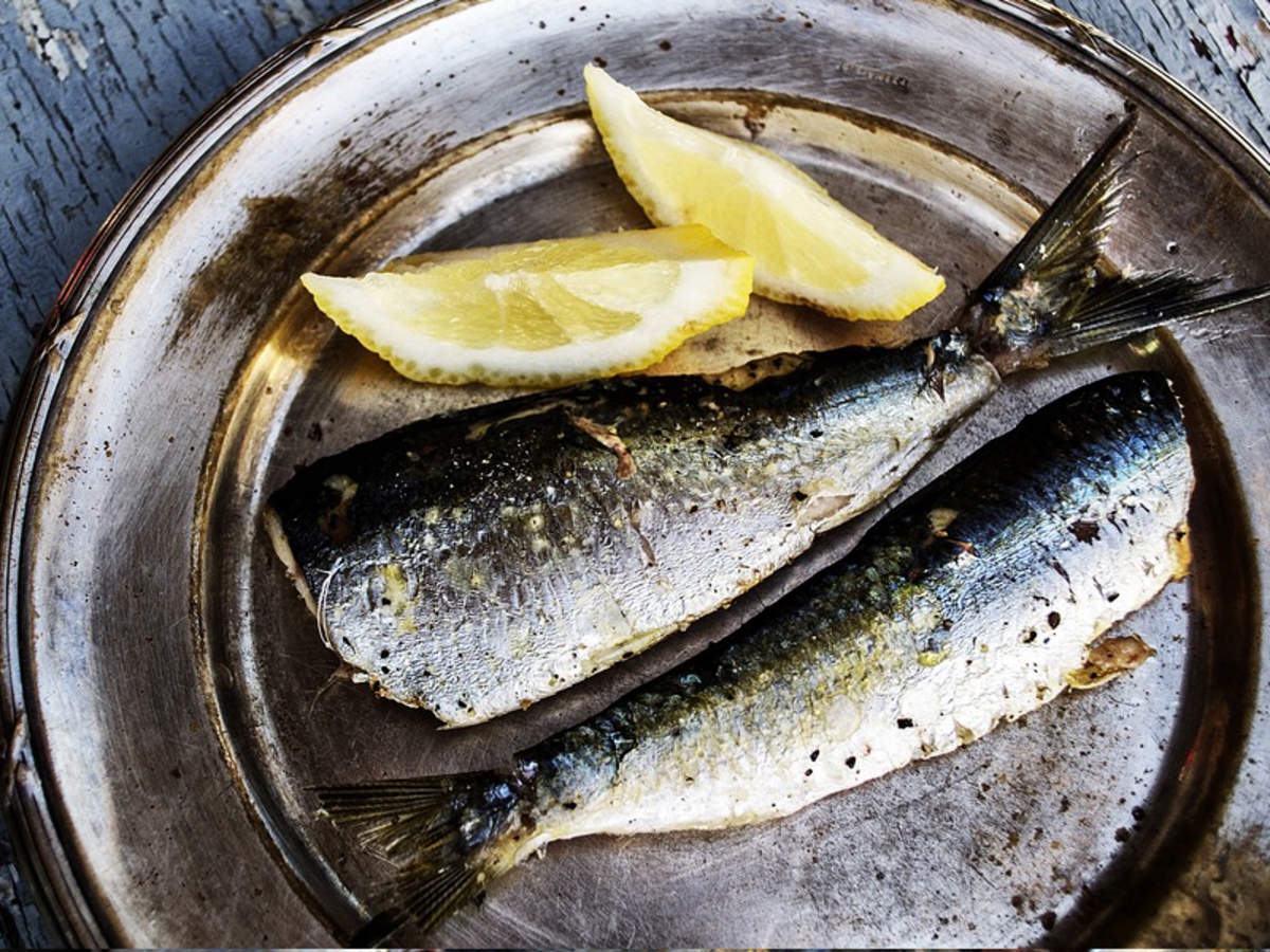 19 types of fish and all you should know about them