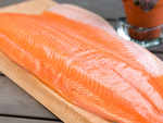  Salmon