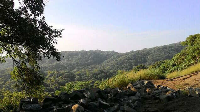 Mumbai&rsquo;s best monsoon experiences