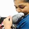 ​Pet Lover