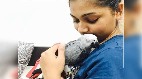Pet Lover