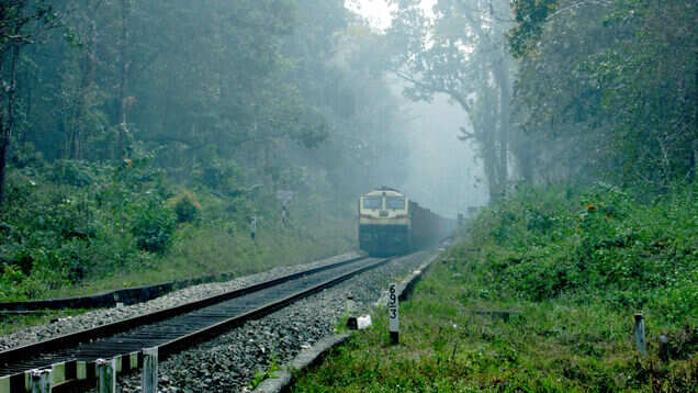 Air travel on certain routes is cheaper than travelling by train