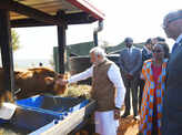 PM Modi donates 200 cows to Rwanda village
