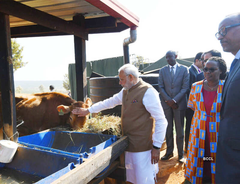 PM Modi donates 200 cows to Rwanda village