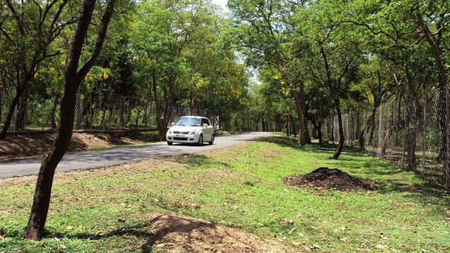 Your guide to Kerala&rsquo;s Marayur village; people lived in cemeteries here!