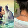 Animal lover and adventurer..