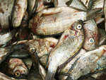 How to detect formalin in fish?