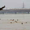 Article image for: Evacuation on as Yamuna crosses <i class="tbold">danger mark</i> in Delhi