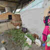 Article image for: Evacuation on as Yamuna crosses <i class="tbold">danger mark</i> in Delhi
