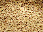 Fenugreek