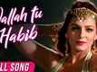 31 Divas | Song - Wallah Tu Habib