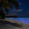Sea of Stars  Vaadhoo Island Maldives  YouTube
