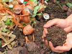 Compost for gardening