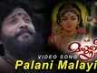 Madhuramee Yaathra | Song - Palanimalayil