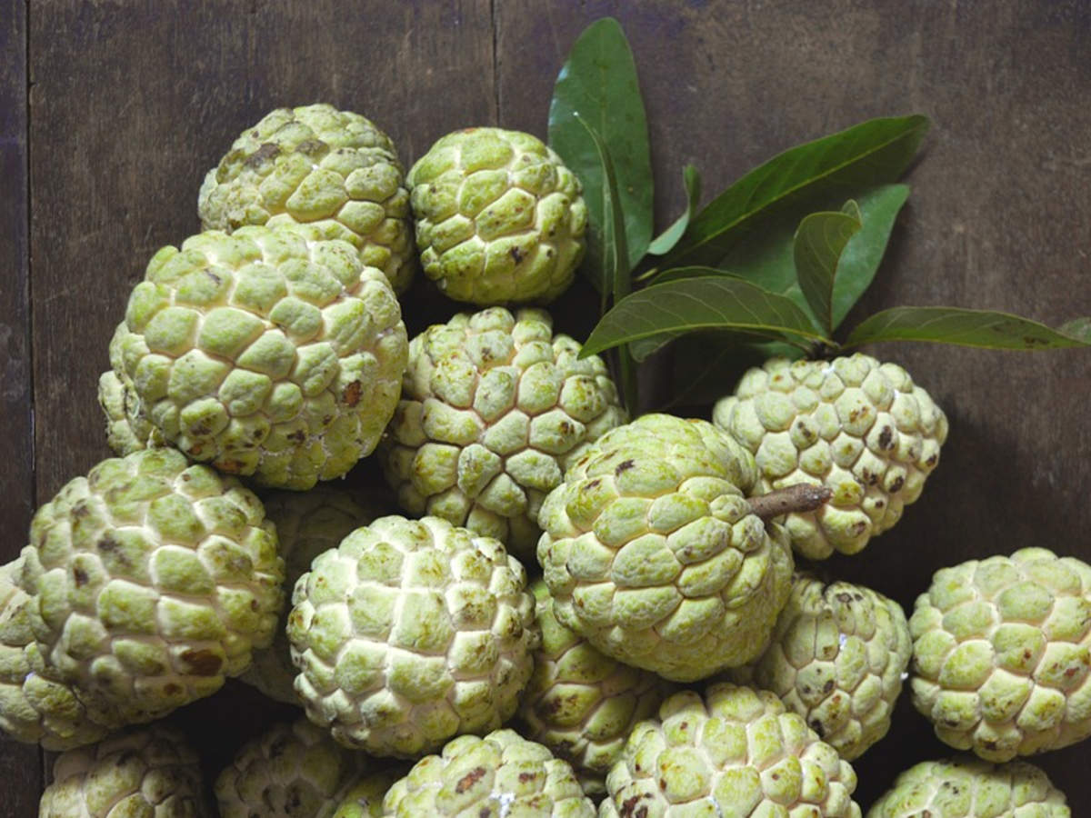 10 interesting health benefits of custard apple | The Times of India
