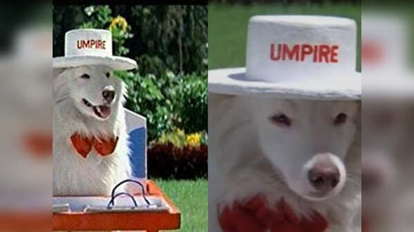 Tuffy