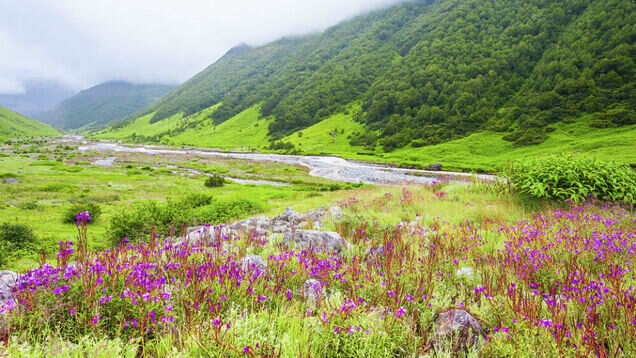 10 Indian experiences for the quintessential travel photographer
