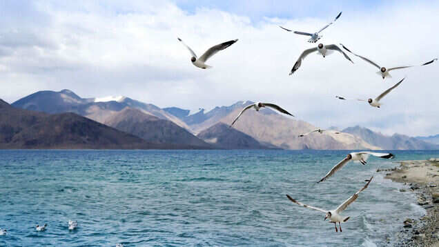10 Indian experiences for the quintessential travel photographer