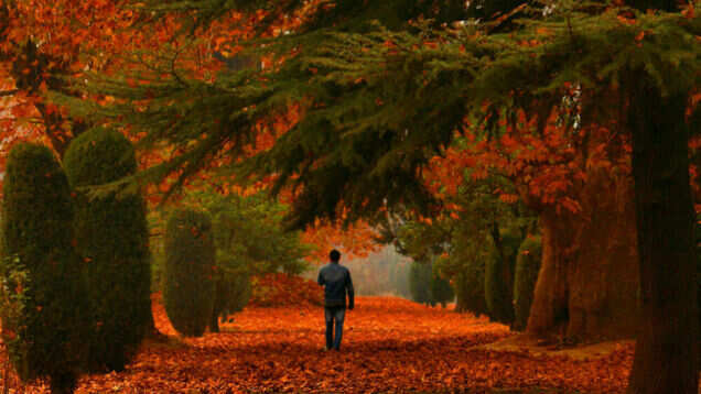 10 Indian experiences for the quintessential travel photographer