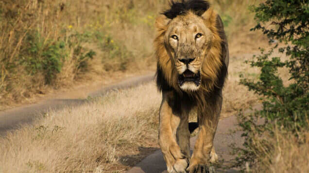 10 Indian experiences for the quintessential travel photographer