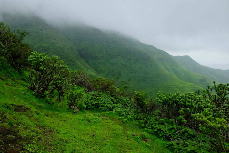 Kondaveedu Fort in Andhra Pradesh is fast becoming a popular tourist destination