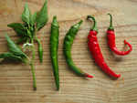 People eat spicy food regularly