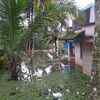 Waterlogging in Chengamanadu, near Kochi