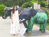 Dia Mirza participates in the Gaj Mahotsav