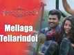 Shatamanam Bhavati | Song - Mellaga Tellarindoi