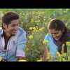 Article image for: '<i class="tbold">sairat</i> Zaala Ji'
