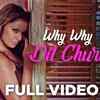 Article image for: Hindi Song Why Why - Dil Chura Ke Sung By <i class="tbold">alisha chinai</i>