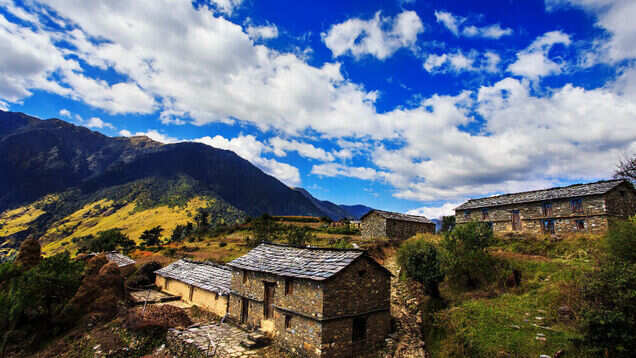 Uttarakhand High Court bans night stay in high meadows