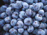  Eat blueberries if you don't want to lie