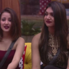 ​Roshmi and Kriti's catfight in the outhouse
