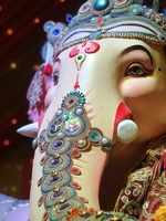 Ganesh Chaturthi 2018 Photos: Readers send in pictures of Ganpati Bappa