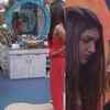 Karanvir and Roshmi VS Kriti