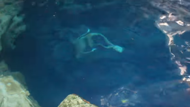 The turquoise waters of Bheemkund and its Mahabharata connect