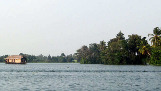 Try yourself at fishing at these fishing destinations in India