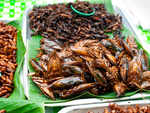  You are already eating insects