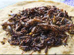 The global presence of insects as a food