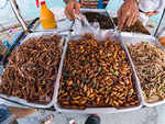 What is entomophagy?