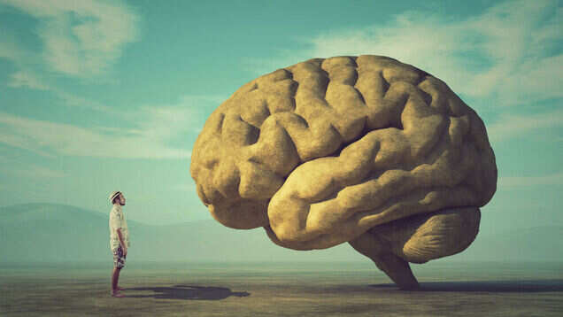 Visit India&rsquo;s first ever brain museum that is demystifying the grey matter