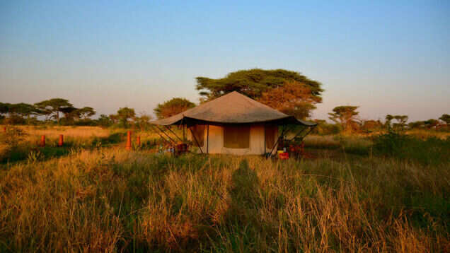 Your guide to going wild in Africa