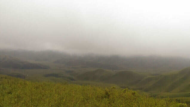 Dzukou Valley Festival of Nagaland is set to begin this month