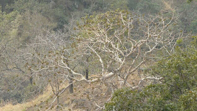 Trekking to Kohoj fort&ndash;a wonderful getaway from Mumbai