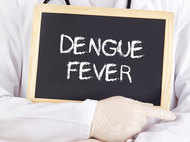 10 effective home remedies to treat dengue