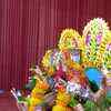 Article image for: <i class="tbold">sindoor</i> khela